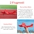 Henakmsl RC Flugzeug, 2 CH ferngesteuertes Flugzeug 2.4GHz RC Flugzeug rtf für Anfänger, Kinder und Erwachsene, Performance Upgrade Flugzeug Spielzeug mit USB-Aufladung rot - 4