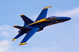 rc-flugzeug-freewing-f-a-18c-hornet-blue-angel-hochleistungs-90mm-edf-jet-pnp-1